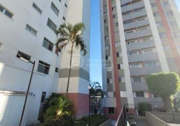 Lindo apartamento padrão para alugar na vila taquari - são paulo