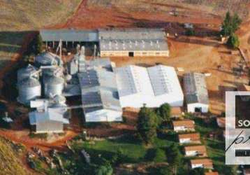 Fazenda à venda, 36363500 m² por r$ 600.000.000,00 - colina dos pinheiros - itapeva/sp