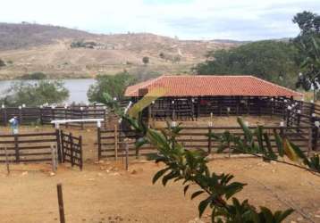 Fazenda à venda em araçuaí - mg, com 144 hectares, acesso pela rodovia br 342 e grande espectro de atividade