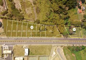 Terreno comercial à venda na avenida antonio artioli, 387, swiss park, campinas por r$ 1.450.000
