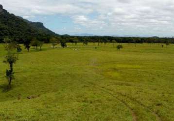 Fazenda de oportunidade: 290 hectares com porteira fechada por apenas r$5.950.000,00 | miracatu/sp