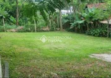 Terreno à venda na servidão tamanduá, 1, lagoa da conceição, florianópolis, 360 m2 por r$ 750.000