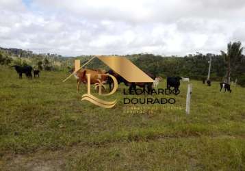 Fazenda com 1 sala à venda na area rural, zona rural, santa cruz cabrália, 30 m2 por r$ 500.000