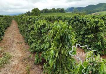 Fazenda 81,6 alqueires com plantação de café !