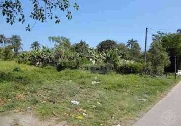 Terreno à venda, 5000 m² por r$ 1.700.000,00 - jardim ana rosa (palmeiras) - suzano/sp