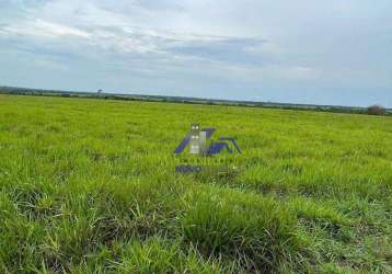 Fazenda à venda, 17.125 hectares por r$ 900.000.000 - setor central - araguaína/to