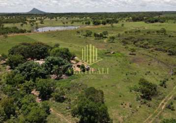 Terreno rural à venda, parque arica (nova esperança), 6.000m² - santo antônio do leverger, mt
