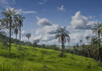 Terreno à venda, 42535 m² por r$ 600.000,00 - terras verdes - lagoa santa/mg