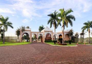 Casa para alugar, 245 m² por r$ 12.600,00/mês - condomínio terras de canaã - londrina/pr