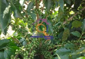Fazenda de café e pecuária com 374 ha em varginha-mg