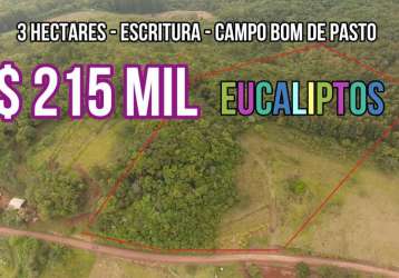 115530 chácara em rolante com 3 hectares, campo, mata nativa e mato de eucaliptos