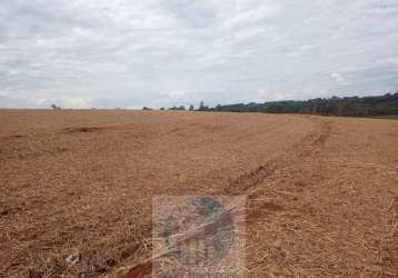 Sítio de cana a venda na região de batatais. 44,94 hectares de terra com 38,72 hectares em cana.