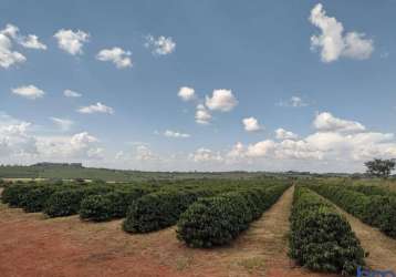 Azenda com 234 hectares para agricultura com café no município de piumhi - mg