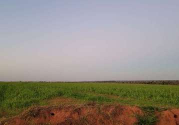 Fazenda com  680 hectares para arrendamento agrícola na região de aporé - go