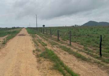 Fazenda com  5.000 hectares para arrendamento agrícola na região de santana do araguaia - pa