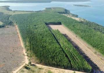 Fazenda dupla aptidão com 428 hectares em morada nova de minas - mg