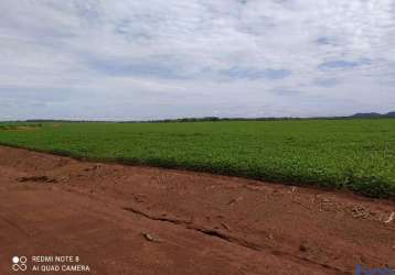 Fazenda com 449 alqueires para agricultura no município de conceição do araguaia - pa