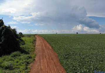 Fazenda com 260 hectares para agricultura no município de coromandel - mg