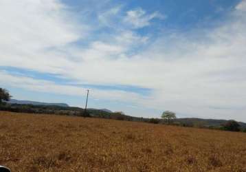 Venda de fazenda em jaraguá: 232 hectares (48 alqueires), dupla aptidão