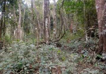 Terreno em Araras - Petrópolis