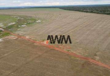 Fazenda à venda, 3.000,80 hectares por r$ 92.000.000 - setor central - araguaína/to