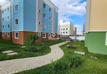 Apartamento com 1 quarto para alugar na rua josé kleina, planta almirante, almirante tamandaré, 37 m2 por r$ 1.000