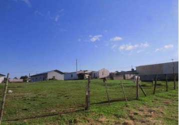 Terreno para alugar, 1120 m² por r$ 2.632,74/mês - jardim paulista - campina grande do sul/pr