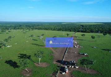 Fazenda em paranatinga mt 6280 hectares pronta