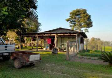 Chacara - sitio zona rural capela de santana