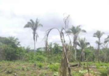 Lote/terreno à venda, área rural de timon - timon/ma