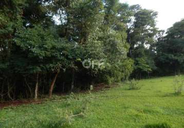 Terreno à venda na rodovia fausto santomauro, sp 127, jardim novo ii, rio claro, 24767 m2 por r$ 4.335.000