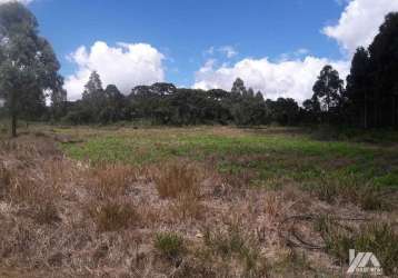 Terreno à venda na km 41 br 277, área rural de guarapuava, guarapuava por r$ 2.600.000