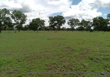 Fazenda dupla aptidão com 243 hectares na região da terra vermelha 4 km do distr