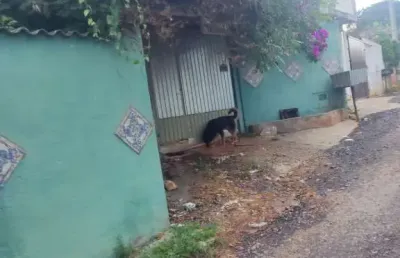 Chácara / sítio com 2 quartos à venda no Parque Rodrigo Barreto, Arujá 