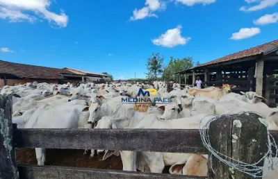 Fazenda à venda, 1258400 m² por r$ 9.600.000,00 - fazendinha - araruama/rj
