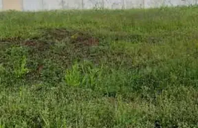 Terreno à venda no Portal da Mata, Ribeirão Preto 