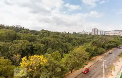 Apartamento para venda - castelo, 3 quartos,  100 m² - belo horizonte