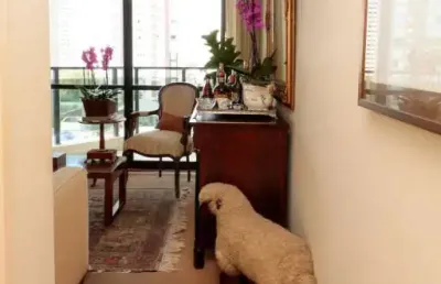 Apartamento para venda - paraíso, 2 quartos,  90 m² - são paulo