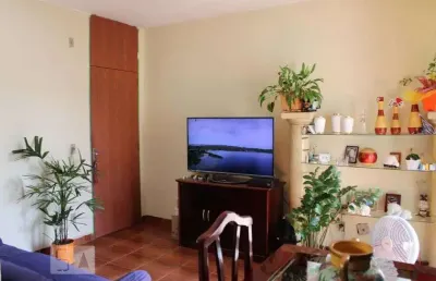 Apartamento para venda - jardim das bandeiras , 2 quartos,  57 m² - campinas