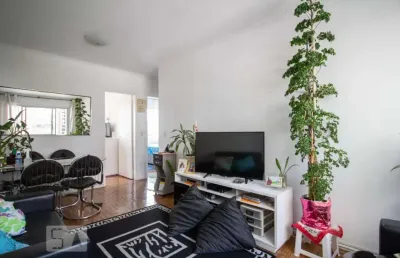 Apartamento para venda - alto da lapa, 2 quartos,  58 m² - são paulo