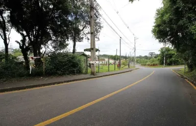 Terreno à venda na Roseira de São Sebastião, São José dos Pinhais 