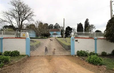 Chácara / sítio com 4 quartos à venda no Campo Largo da Roseira, São José dos Pinhais 