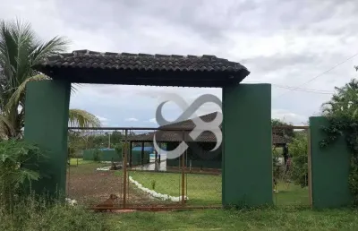 Chácara com 3 dormitórios à venda, 5000 m² por r$ 750.000,00 - limoeiro - londrina/pr