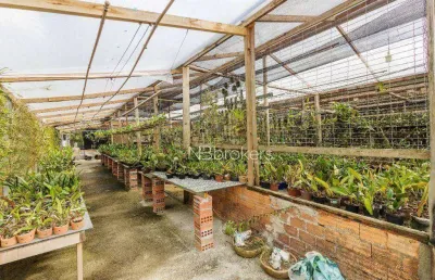 Terreno à venda, 6000 m² por r$ 450.000,00 - área rural de são josé dos pinhais - são josé dos pinhais/pr