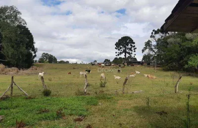 Chácara à venda, 43000 m² por r$ 990.000,00 - são sebastião - araucária/pr
