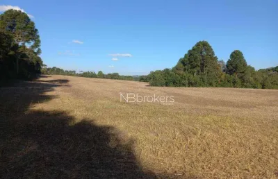 Chácara com 5 dormitórios à venda, 58372 m² por r$ 2.190.000,00 - centro - antônio olinto/pr