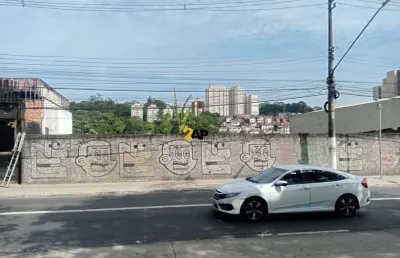 Terreno com 1500 metros para aluguel na vila das belezas
