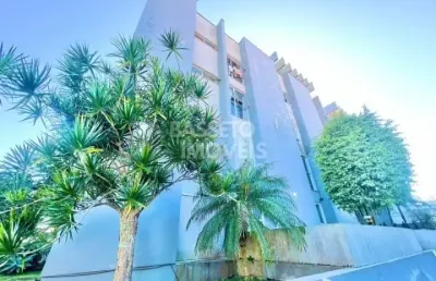 Apartamento com 2 quartos à venda na rua doutor abel capela, 772, capoeiras, florianópolis por r$ 415.000