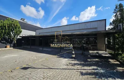Sala comercial para alugar na avenida nossa senhora da luz, 80, bacacheri, curitiba, 138 m2 por r$ 25.000