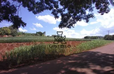 Sítio à venda, 121000 m² por r$ 4.000.000,00 - coroados - londrina/pr